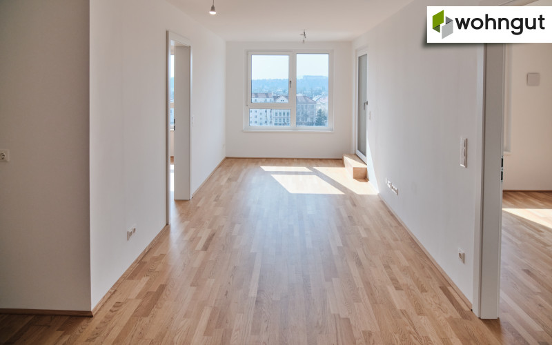 Linzer Strasse / Tür 120